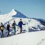 Neustift Near Stubai Lift