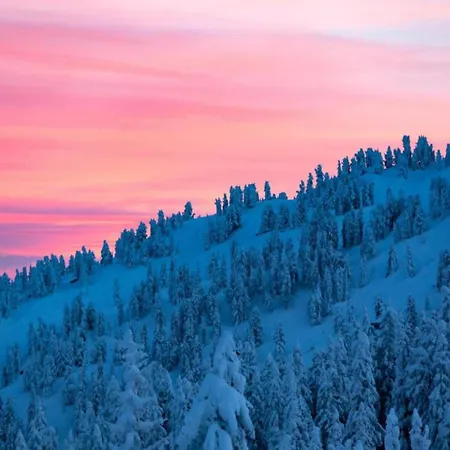 Neustift Near Stubai Lift Διαμέρισμα *